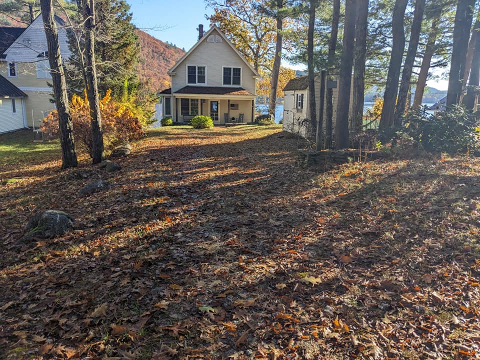 Fall/Spring Project 5