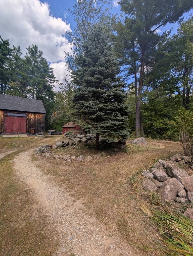 Fall/Spring Project 9